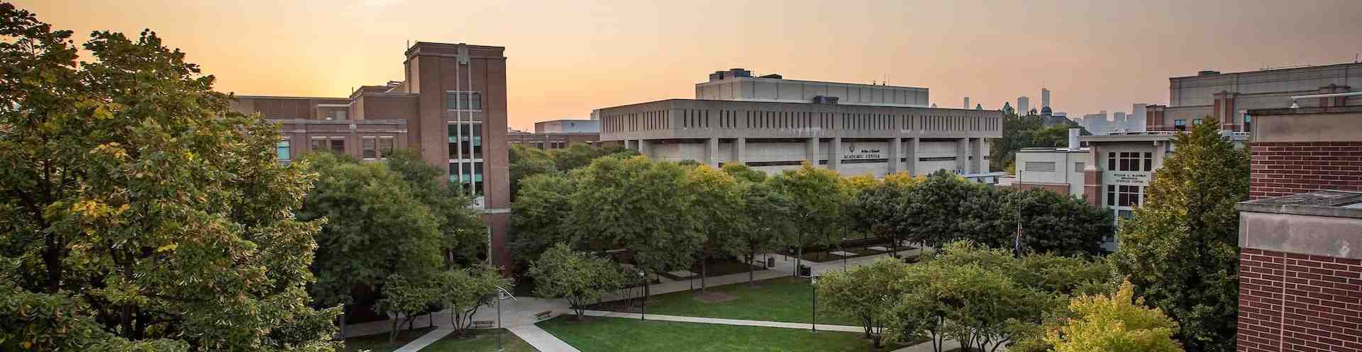 DePaul University logo